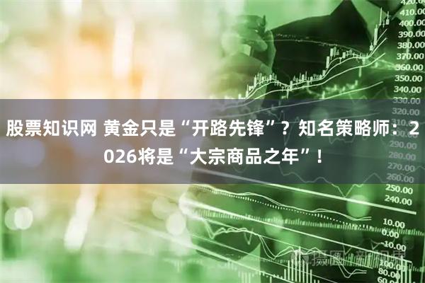 股票知识网 黄金只是“开路先锋”？知名策略师：2026将是“大宗商品之年”！