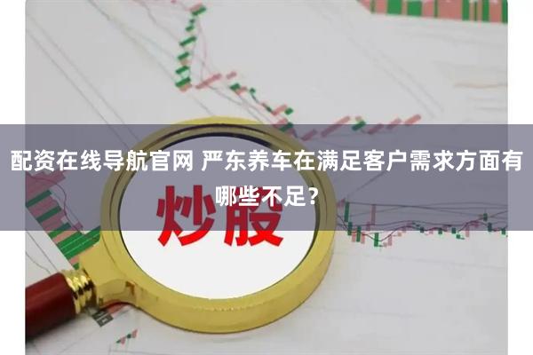 配资在线导航官网 严东养车在满足客户需求方面有哪些不足？